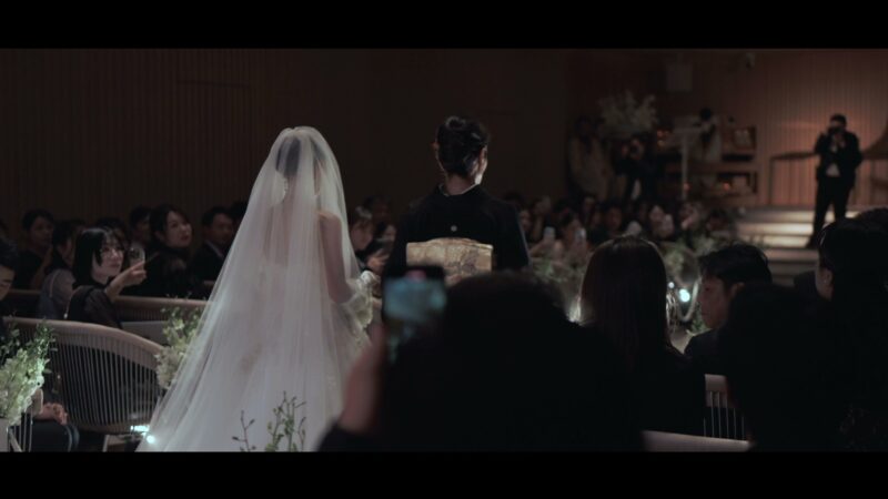 Cinematic Live Edition Plus
